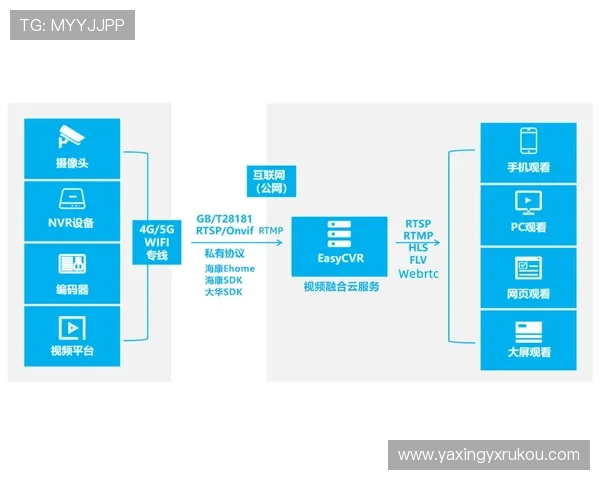 亚星平台客服提供的技术支持服务内容及使用指南
